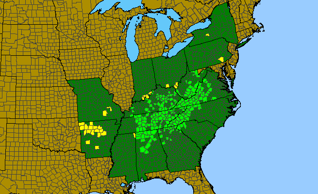 The range of Heuchera villosa